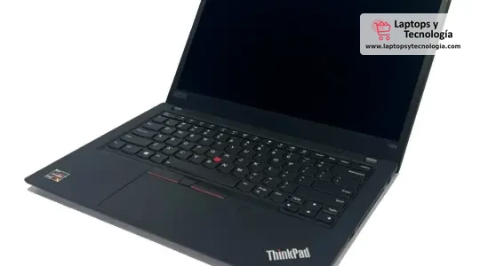 Laptop Lenovo ThinkPad T495 14" Ryzen 5 Pro 3500U 256GB SSD 16GB RAM 2GB Video Win 11 Pro